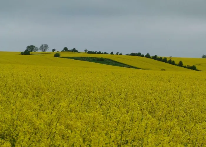 Leuchtturm 10 아파트 Großenbrode